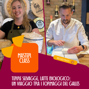 Terre Selvagge, Latte Biologico: un Viaggio tra i Formaggi del Galles