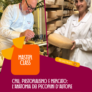 Cru, Pastoralismo e Mercato: L’Anatomia dei Pecorini d’Autore