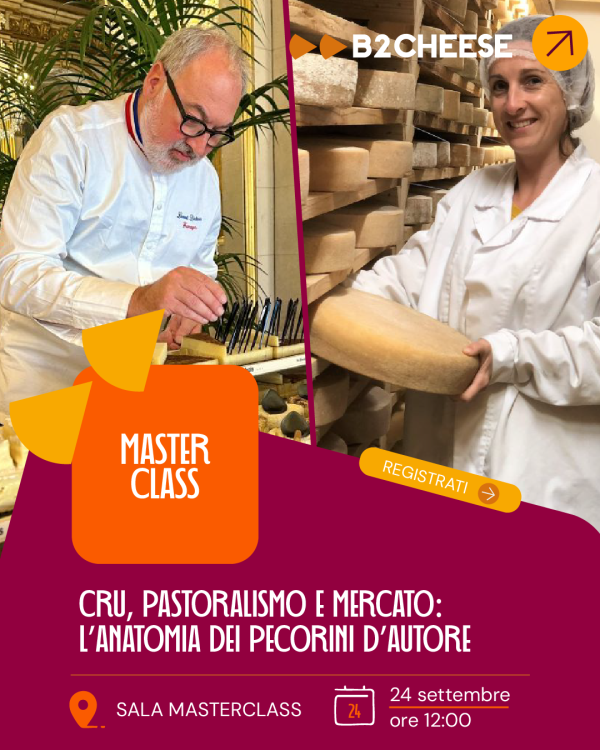 Cru, Pastoralismo e Mercato: L'Anatomia dei Pecorini d'Autore